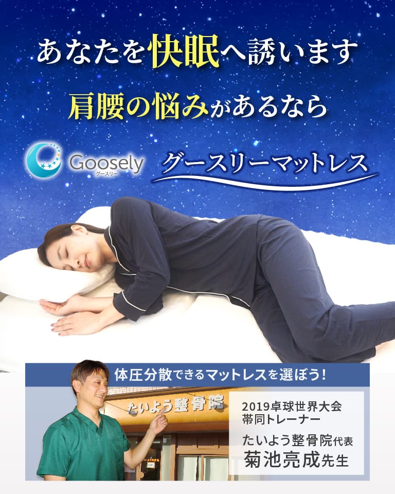 トップヘッダー