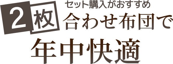 公式】グースリーⅡ - 羽毛を超えた温かさ。洗濯機で洗える掛布団