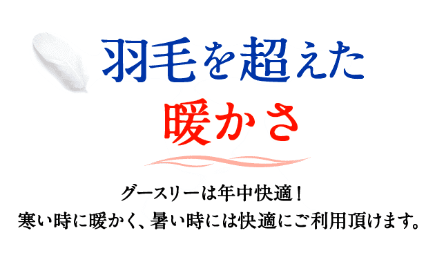 公式 グースリー 羽毛を超えた温かさ 洗濯機で洗える掛布団